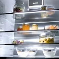 20000170266.webp